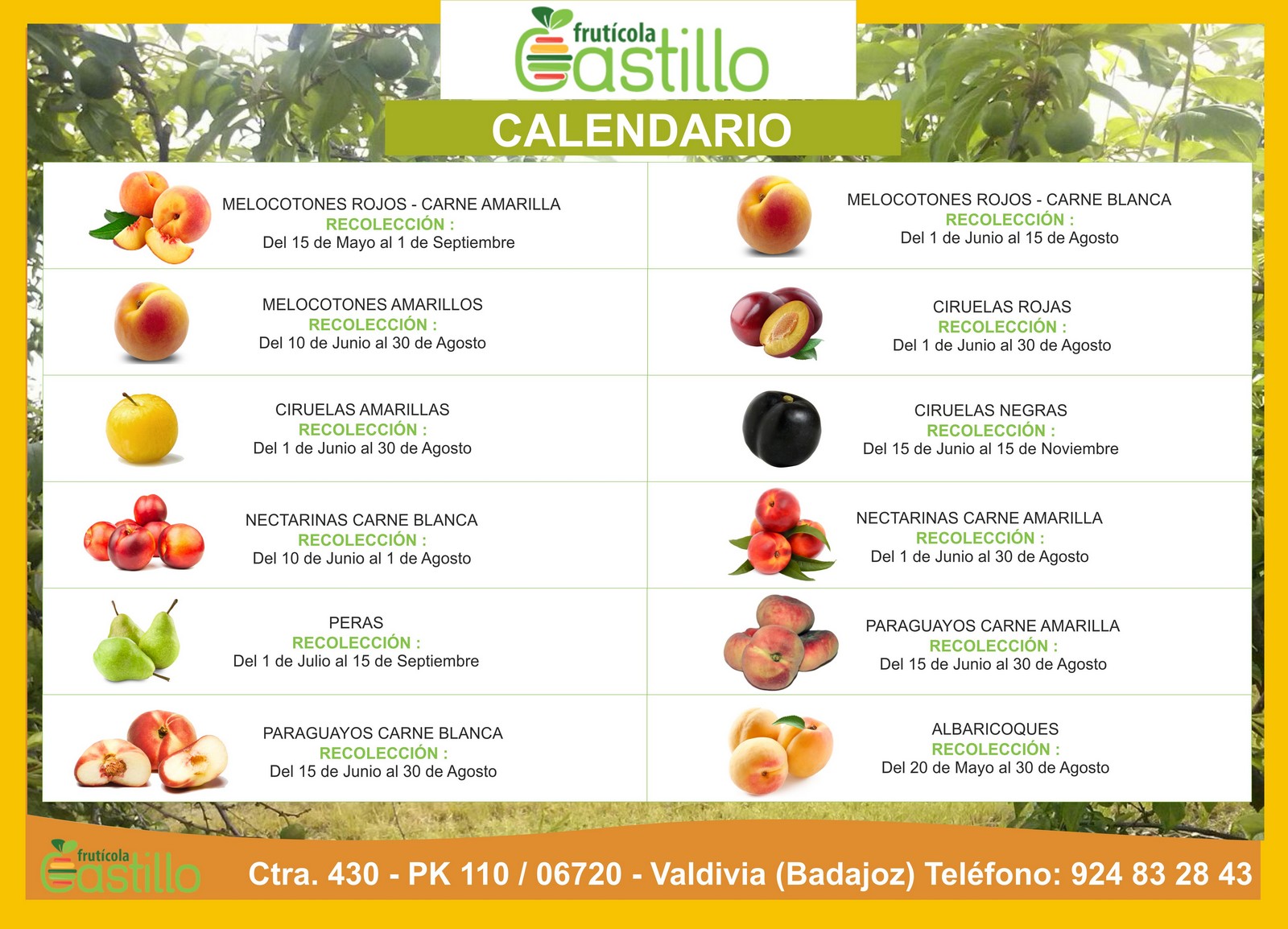 CALENDARIO-FRUTICOLA-CASTILLO